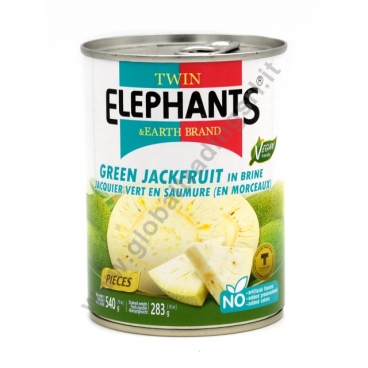 TWIN ELEPHANTS GREEN JACKFRUIT IN BRINE 24x540g