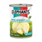 TWIN ELEPHANTS GREEN JACKFRUIT IN BRINE 24x540g