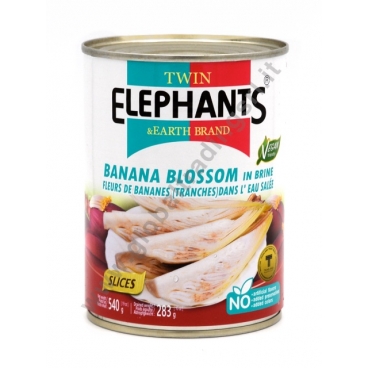 TWIN ELEPHANTS BANANA BLOSSOM - FIORI DI BANANO 24x540g