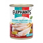 TWIN ELEPHANTS BANANA BLOSSOM - FIORI DI BANANO 24x540g