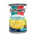 TWIN ELEPHANTS BEAN SPROUT - GERMOGLI AL NATURALE 24x420g