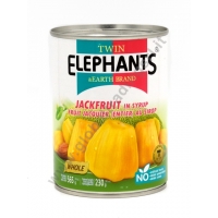 TWIN ELEPHANTS JACKFRUIT IN SCIROPPO 24x565g