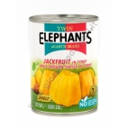 TWIN ELEPHANTS JACKFRUIT IN SCIROPPO 24x565g