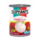 TWIN ELEPHANTS LONGAN IN SCIROPPO 24x565g