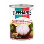 TWIN ELEPHANTS MANGO IN SYRUP - MANGO IN SCIROPPO 24x425g