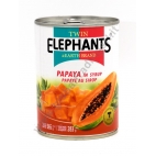 TWIN ELEPHANTS MANGOSTANO IN SCIROPPO 24x565g